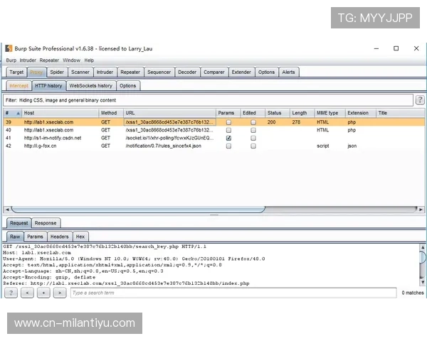 如何通过米兰体育手机官方地址安全快速访问官方平台完整流程介绍